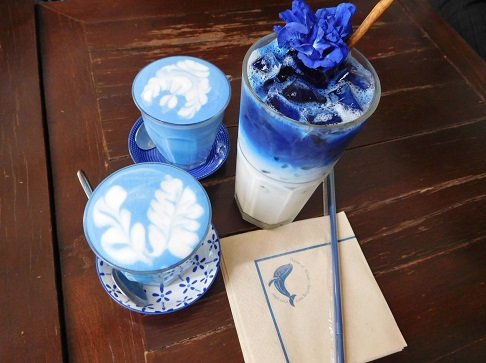 Cách làm trà sữa hoa đậu biếc ngay tại nhà