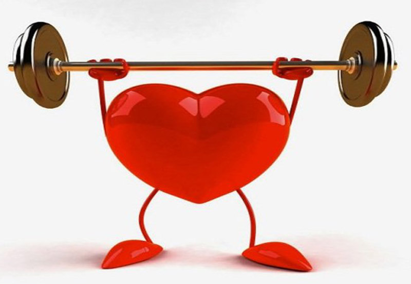 Trà bí đao giúp cải thiện sức khỏe tim mạch